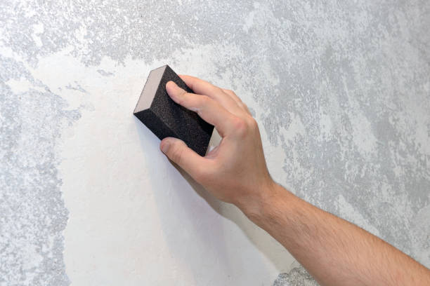 Best Black Mold Removal  in Fern Prairie, WA