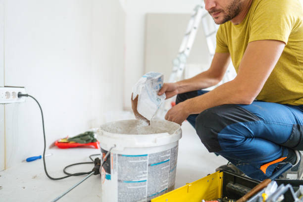 Best Emergency Mold Remediation  in Fern Prairie, WA