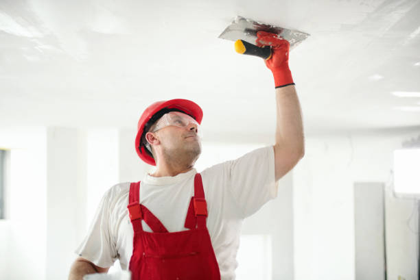 Best Mold Remediation for Healthcare Facilities  in Fern Prairie, WA