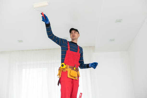 Best Environmental Consulting for Mold Prevention  in Fern Prairie, WA