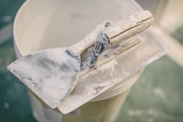 Best Mold-Related Health Consultation  in Fern Prairie, WA
