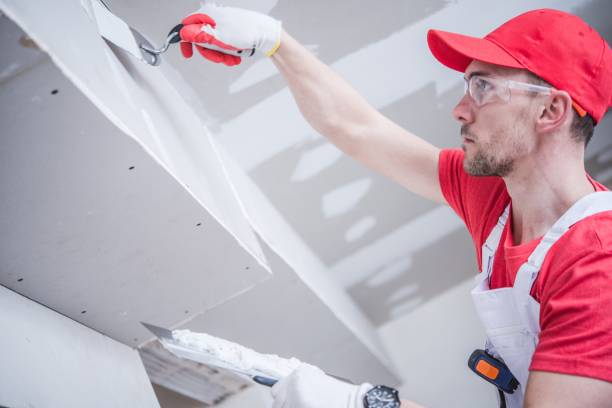 Trusted Fern Prairie, WA Mold Removal Experts